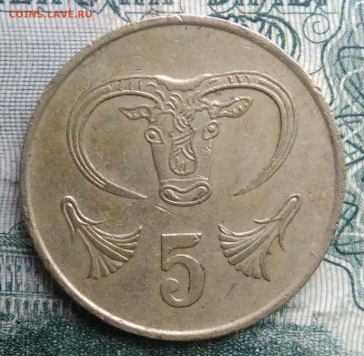 Кипр 5 центов 1983 года до 17.11.2025 - IMG_20251111_220616