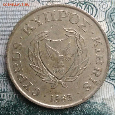 Кипр 5 центов 1983 года до 17.11.2025 - IMG_20251111_220631