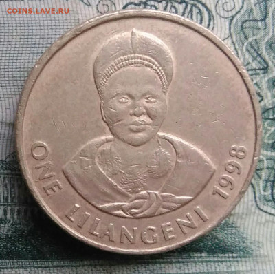 Свазиленд 1 лилангени 1998 года до 17.11.2025 - IMG_20251111_221524