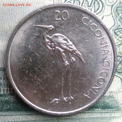 Словения 20 толаров 2003 года до 17.11.2025 - IMG_20251111_221303