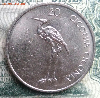 Словения 20 толаров 2004 года до 17.11.2025 - IMG_20251111_221236