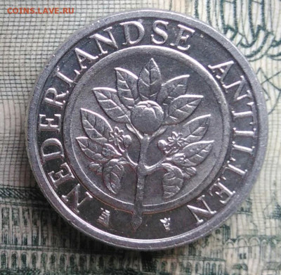 Антильские острова 5 центов 2016 года до 17.11.2025 - IMG_20251111_163910