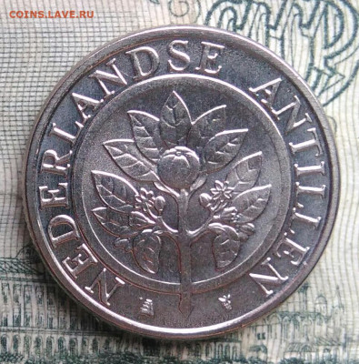 Антильские острова 10 центов 2016 года до 17.11.2025 - IMG_20251111_220114