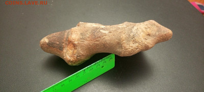 Эта нога — у того, у кого надо нога. - IMG_20251110_192501_029