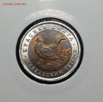 50 рублей 1993 года Кавказский тетерев До 18.11 - 20241010_190722