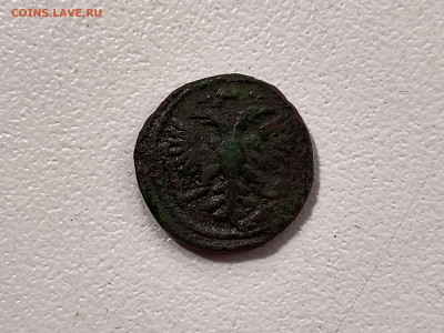 Полушка 1722 (атрибуция, оценка) - 31