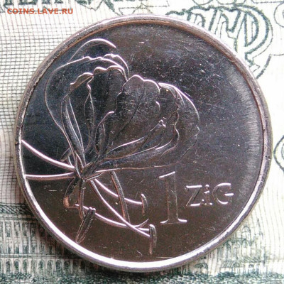 Зимбабве 1 зиг 2024 года до 17.11.2025 - IMG_20251112_215224