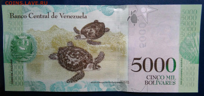Венесуэла 5000 боливаров 2017 года до 17.11.2025 - IMG_20251112_223111
