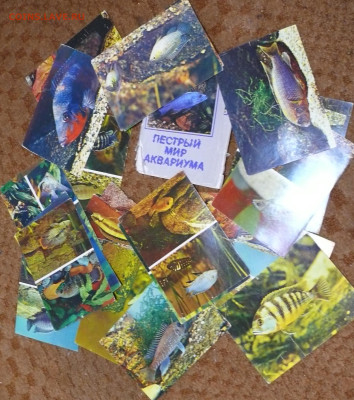 "Пестрый мир Аквариума" Цихлиды 1983г. - Пестрый мир аквариума цихлиды 1983 25 откр.JPG