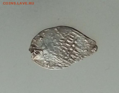 Удельная монетка - IMG_20251104_115025_598