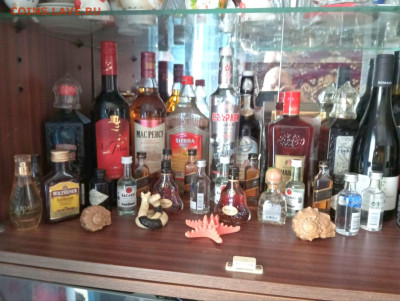 Алкоминималистика - photo_2024-10-24_08-40-45