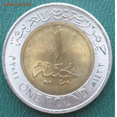 2015 Канал (перепутка,мул) до 16.11.202 - 1 фунт 2011_1.JPG