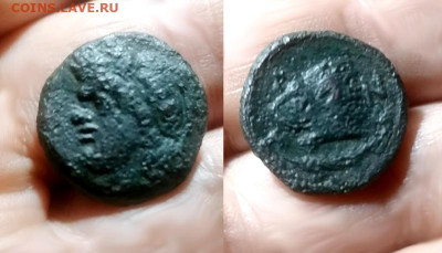 Монета Антика Тетрахалк Боспора Сатир Лев ПАN 3 вдо - IMG_20251012_115329 copy