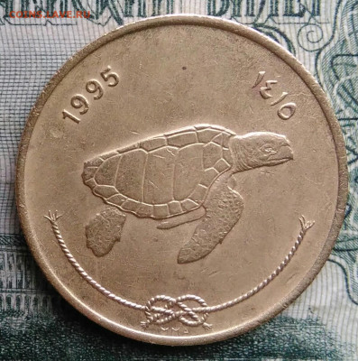 Мальдивы 50 лаари 1995 года до 17.11.2025 - IMG_20251113_155853