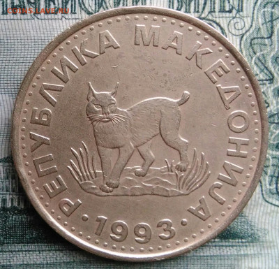 Македония 5 денаров 1993 года до 17.11.2025 - IMG_20251113_162254