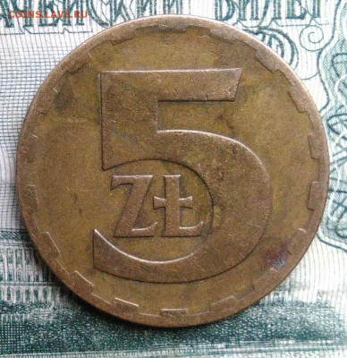 Польша 5 злотых 1977 года до 17.11.2025 - IMG_20251113_182339