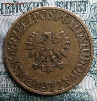Польша 5 злотых 1977 года до 17.11.2025 - IMG_20251113_182402