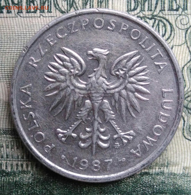 Польша 50 грошей 1987 года до 17.11.2025 - IMG_20251113_182235