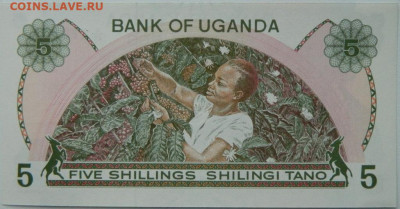 Уганда 5 шиллингов 1982 г. до 20.11.25 - DSCN8470.JPG
