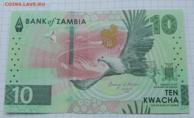 Замбия 10 квача 2024 до 19.11.2025 - Замбия 10 квача 2024.JPG