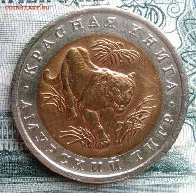 10 рублей 1992 года Амурский тигр до 17.11.2025 - IMG_20251115_012058