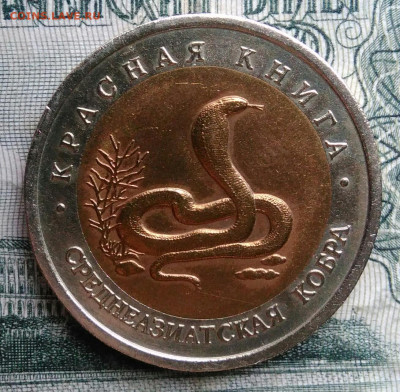 10 рублей 1992 года Среднеазиатская кобра до 17.11.2025 - IMG_20251115_012136