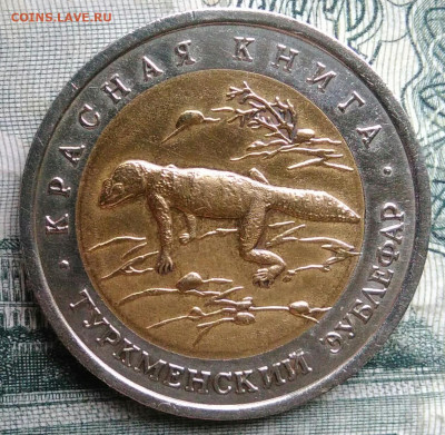 50 рублей 1993 года Туркменский зублефар до 17.11.2025 - IMG_20251115_012556