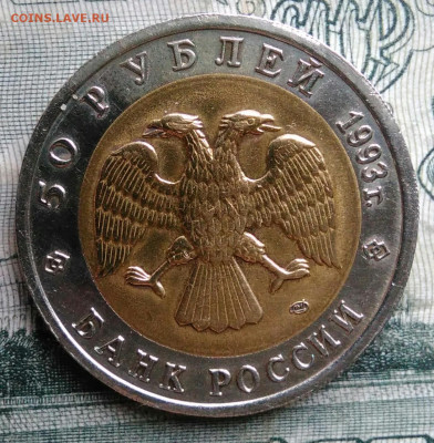 50 рублей 1993 года Туркменский зублефар до 17.11.2025 - IMG_20251115_012616