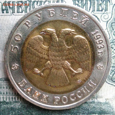 50 рублей 1993 года Гималайский медведь до 17.11.2025 - IMG_20251115_012039