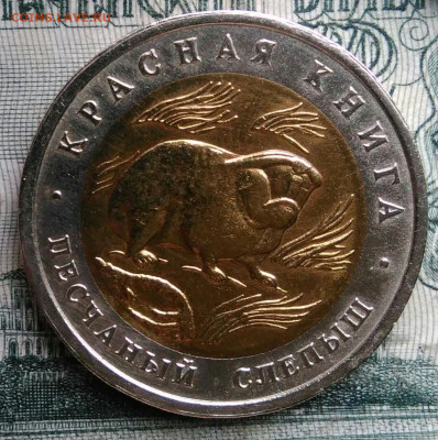50 рублей 1994 года Песчаный слепыш до 17.11.2025 - IMG_20251115_012445