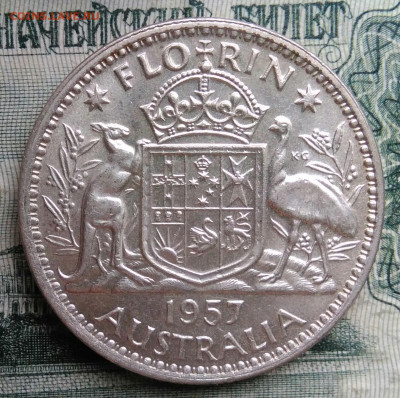 Австралия 1 флорин 1957 года до 17.11.2025 - IMG_20251115_012401