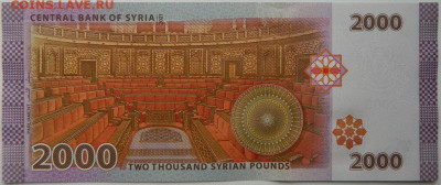 Сирия 2000 фунтов 2021 г. (Башар Асад) до 20.11.25 - DSCN7953.JPG