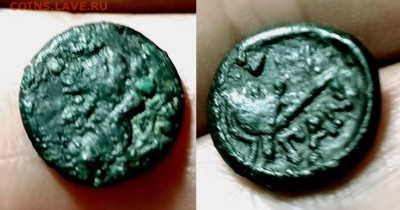 Действительно ли редкий Манетос??? - БЮ