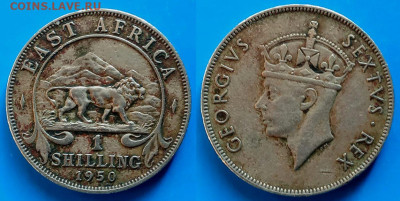 Брит. Восточная Африка - 1 шиллинг 1950 года (Н) до 22.11 - Британская Восточная Африка 1 шиллинг, 1950  150