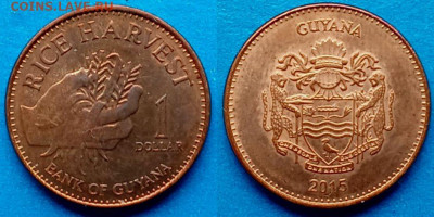 Гайана - 1 доллар 2015 года до 22.11 - Гайана 1 доллар, 2015  45