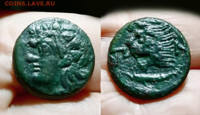 Действительно ли редкий Манетос??? - IMG_20251106_064623 copy