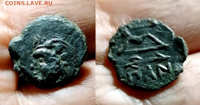 Действительно ли редкий Манетос??? - IMG_20251018_165221 copy