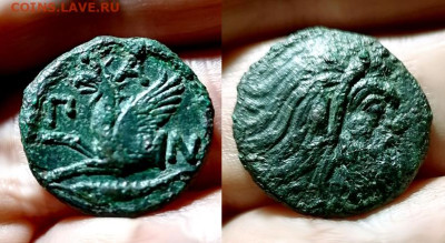 Действительно ли редкий Манетос??? - оророророр copy