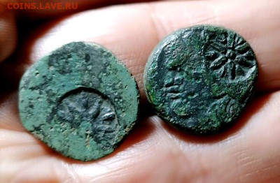 Действительно ли редкий Манетос??? - и22