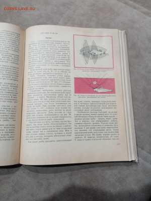 Настольная книга рыболова спортсмена до 22.11.25 в 22:00 - IMG_20251116_174214