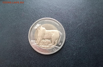 1 лира 2012 Турция Красная книга Леопард Биметалл До 23.25 - 20251117_145109