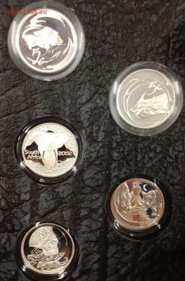 ЮАР набор 5 центов 2000-2004 Большая пятерка до 22,11 - IMG_20251118_152338_388