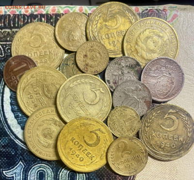 17 ранних советов на опыты - IMG_7344.JPG