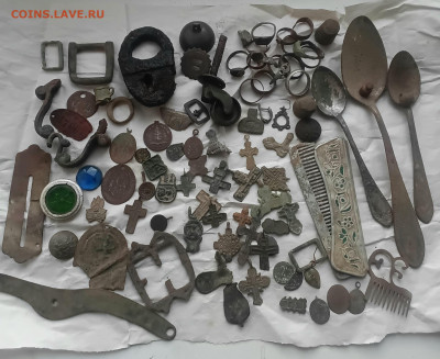 Копанина - 20251118_153402