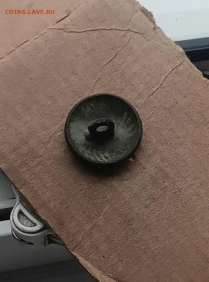 Пуговица 3 на пушках - 20251108_132012