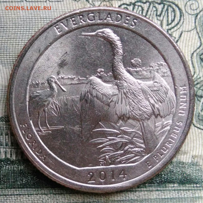 4 доллара 2014 года до 24.11.2025 - IMG_20251117_193643