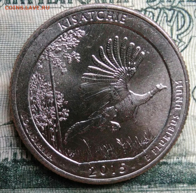 4 доллара 2015 года до 24.11.2025 - IMG_20251117_193912