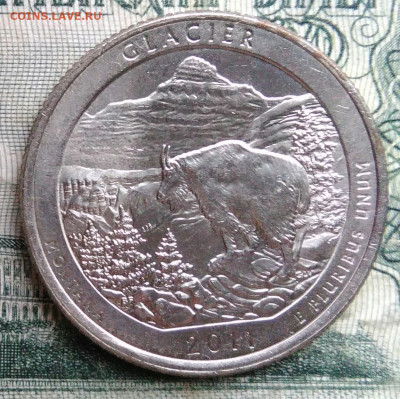 4 доллара 2011 года до 24.11.2025 - IMG_20251117_204258