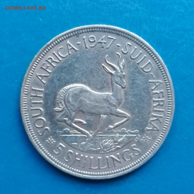 ЮАР, 5 шиллингов 1947, до 25.11.2025 - IMG_20251115_092749