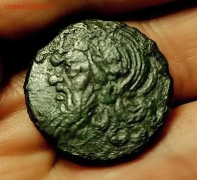 Действительно ли редкий Манетос??? - оооо